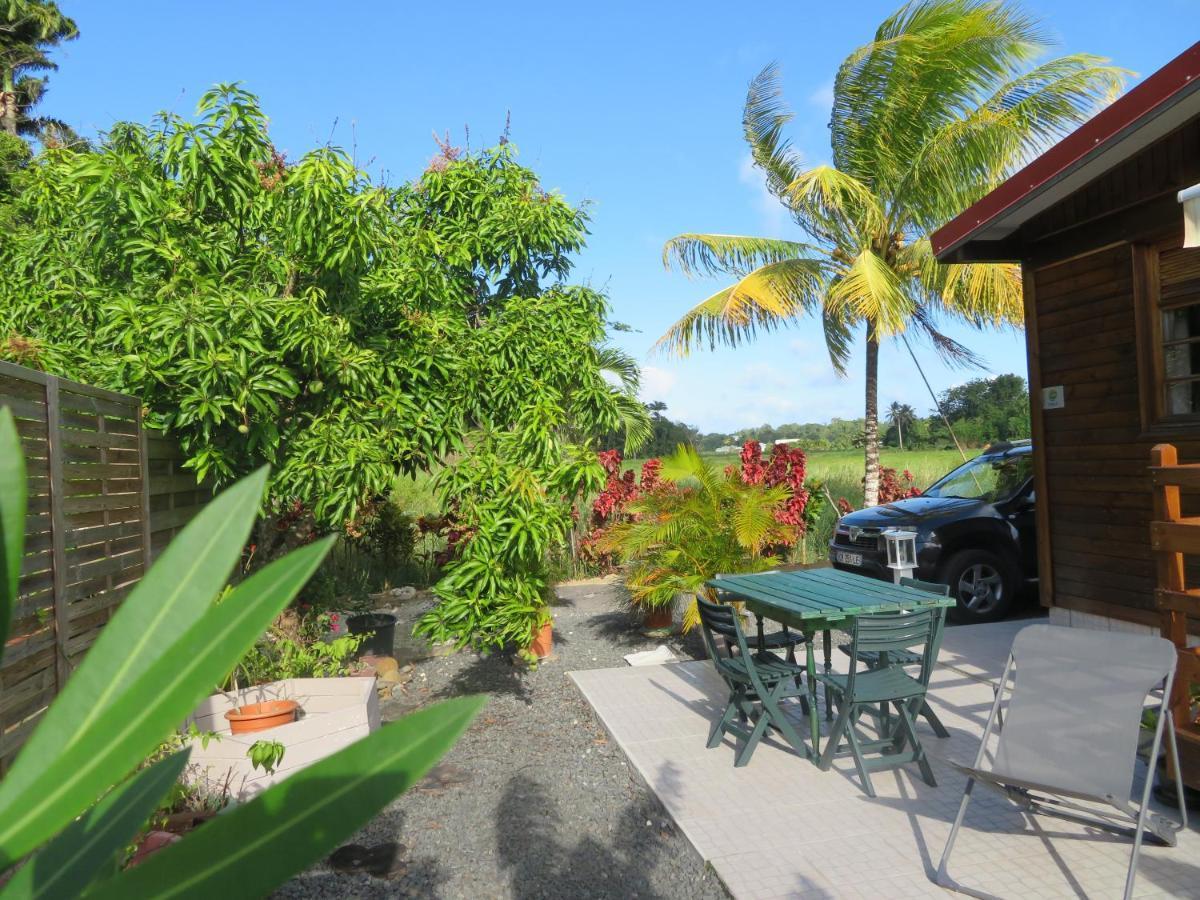 Bungalow Des Paletuviers Morne-a-l'Eau エクステリア 写真