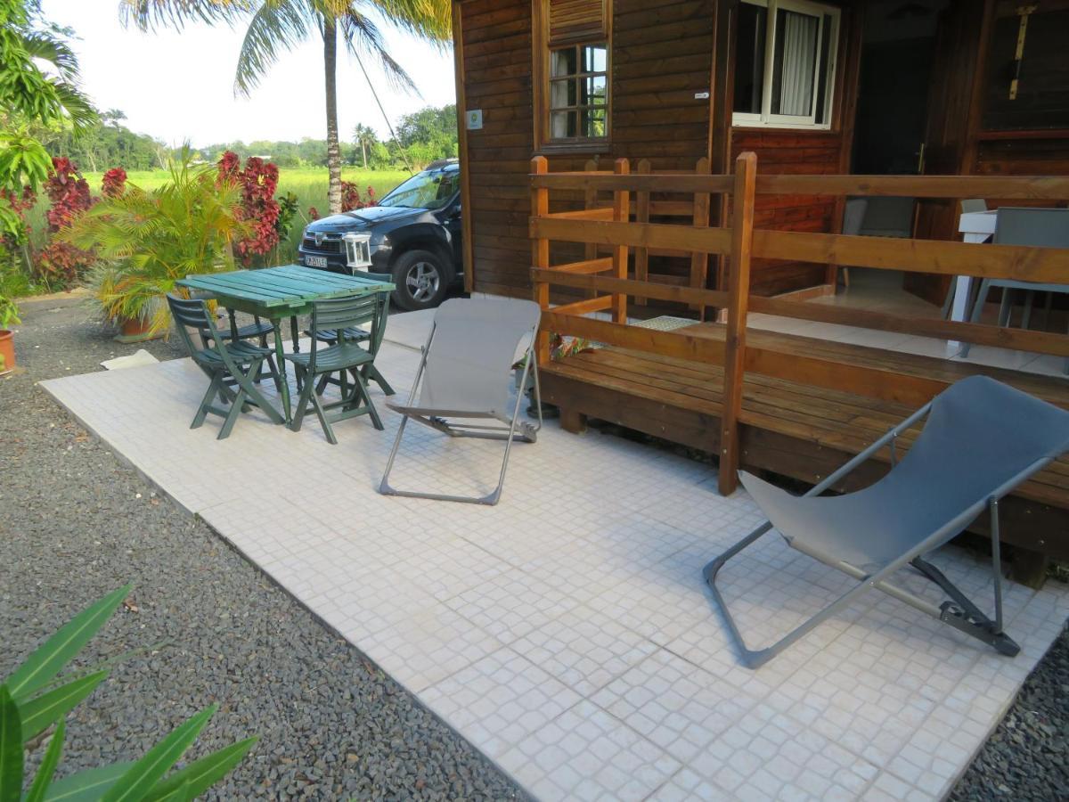 Bungalow Des Paletuviers Morne-a-l'Eau エクステリア 写真